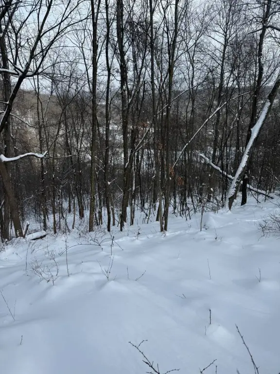 Picture 4