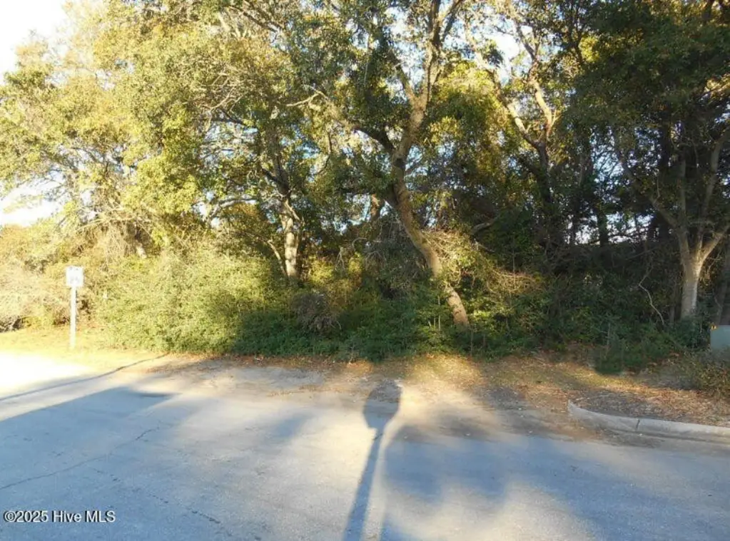 Picture 14