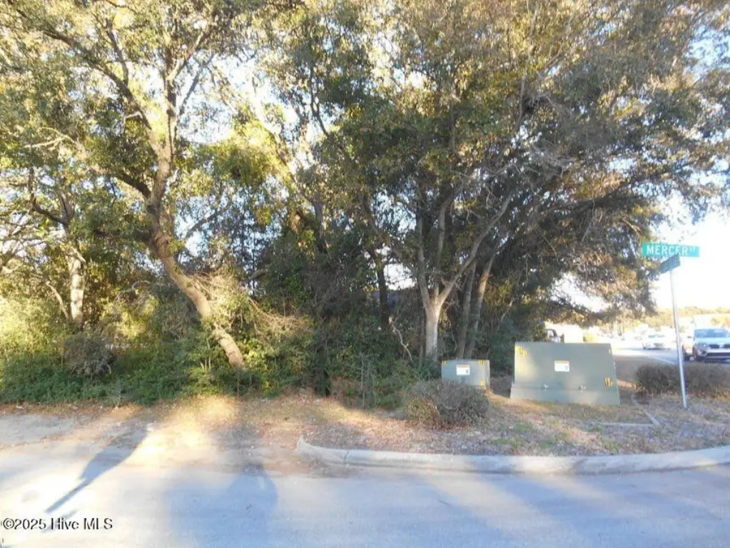 Picture 12