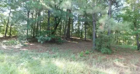 Residential Land Near Toledo Bend