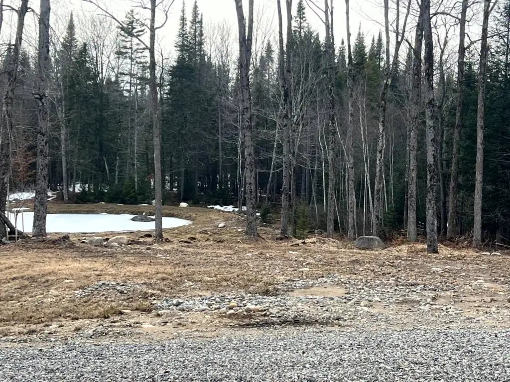 Picture 20