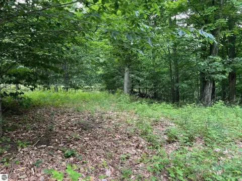 Land Parcel in Timber View