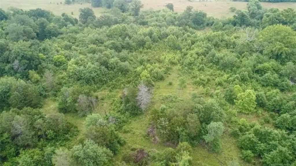 Picture 25