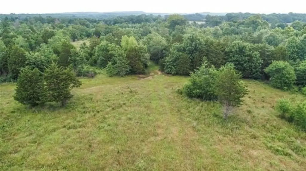 Picture 20