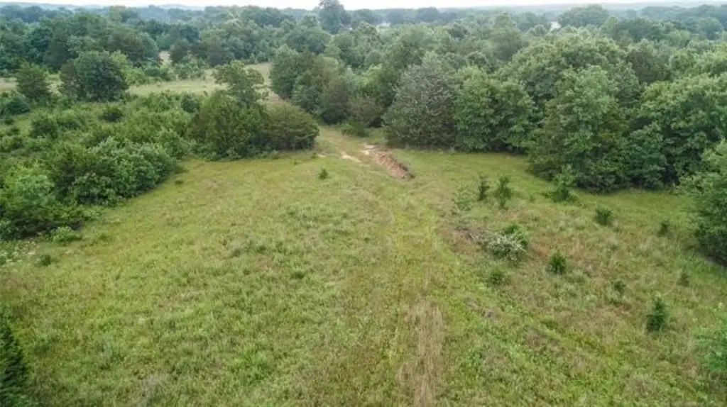 Picture 3