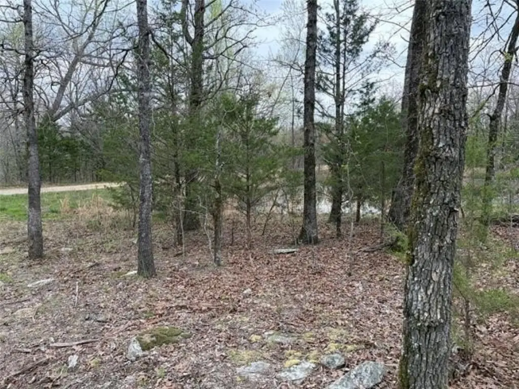Picture 11