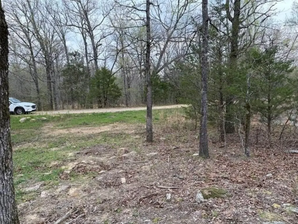 Picture 10