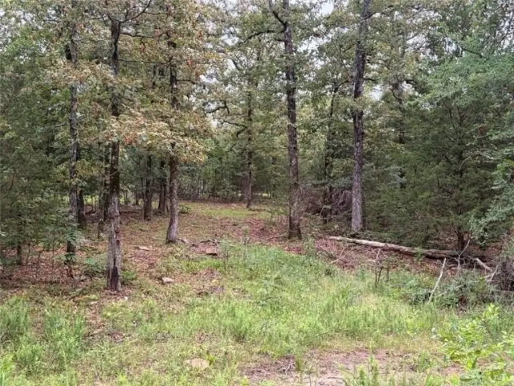 Picture 12