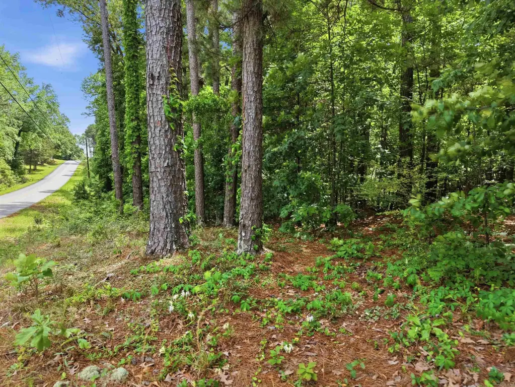 Picture 11