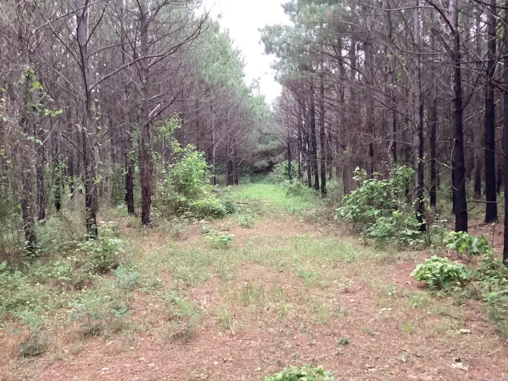 Picture 2