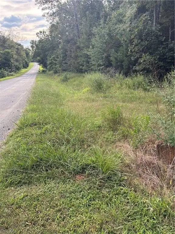 Picture 7
