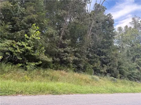 Wooded Agricultural Land
