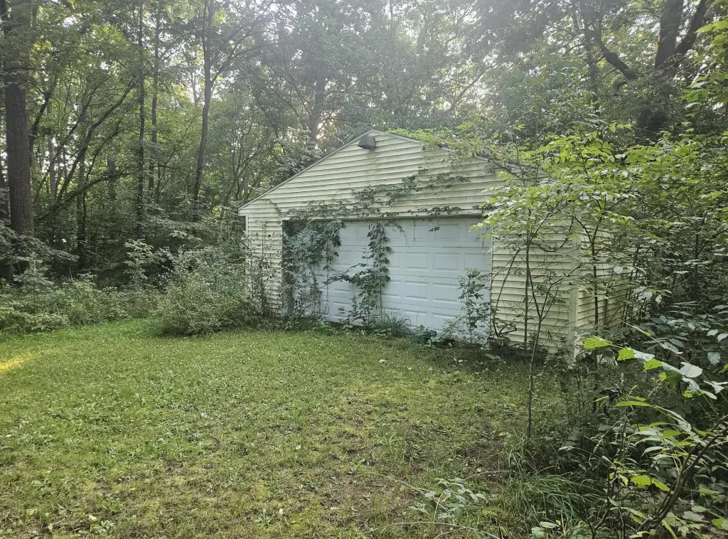 Picture 5