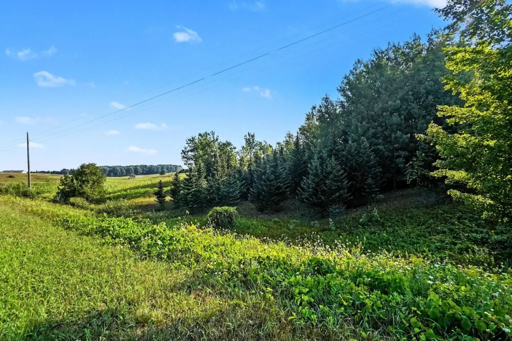Picture 6