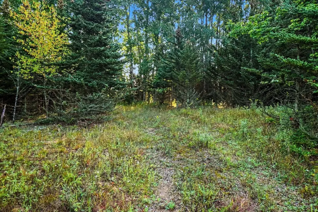 Picture 8