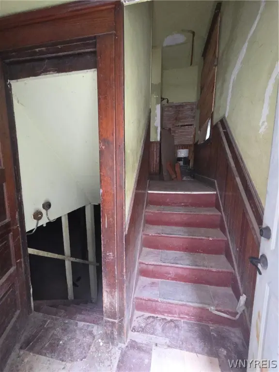 Picture 21
