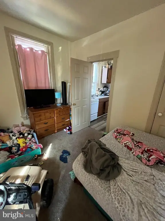 Picture 27