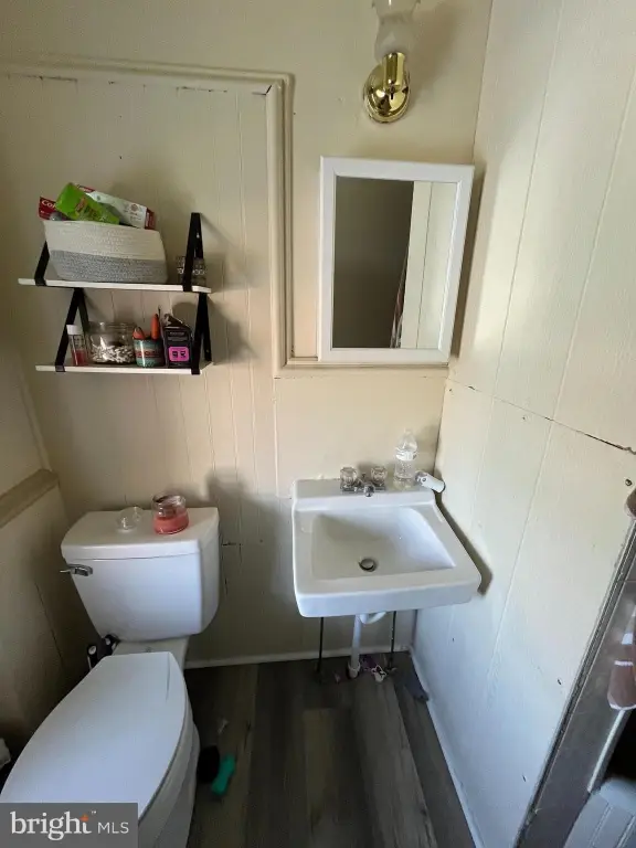 Picture 24