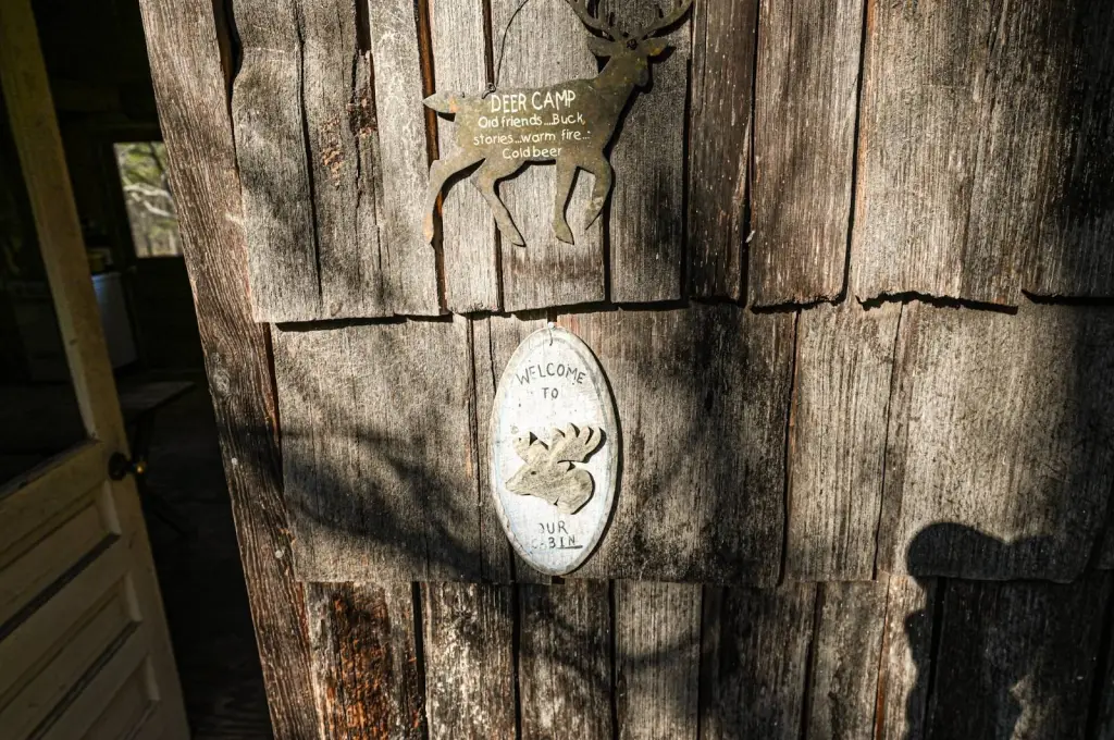 Picture 37