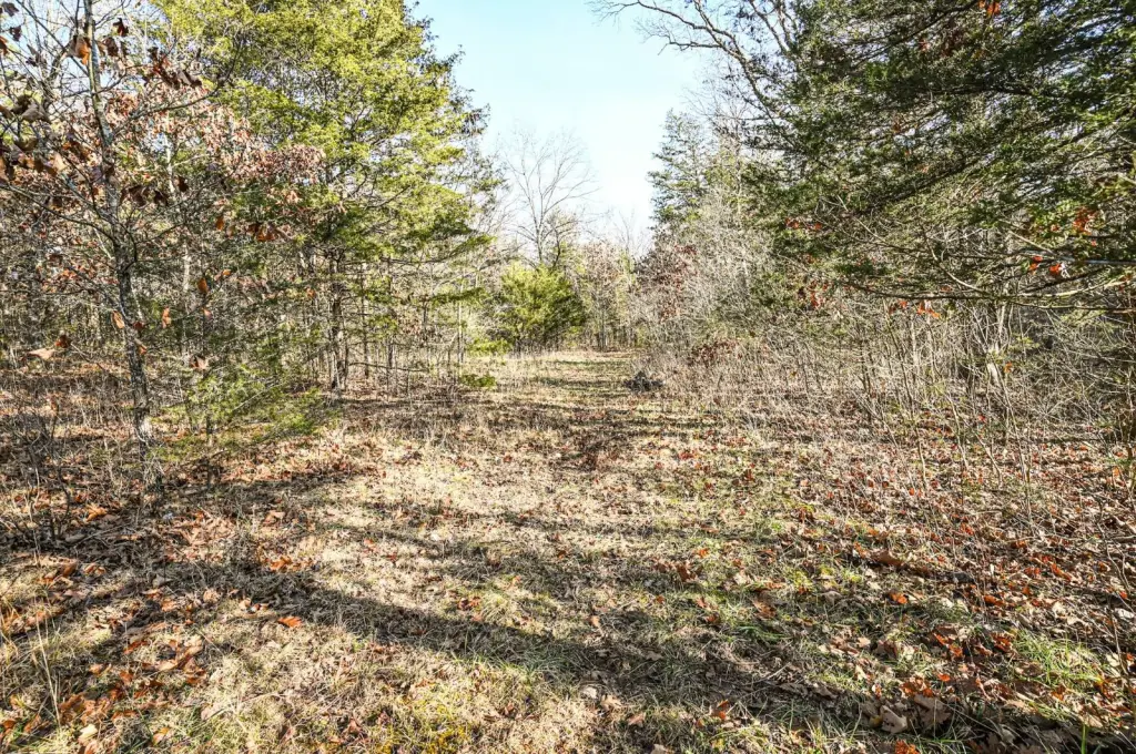 Picture 22