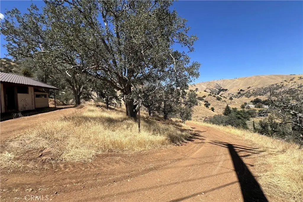 Picture 25