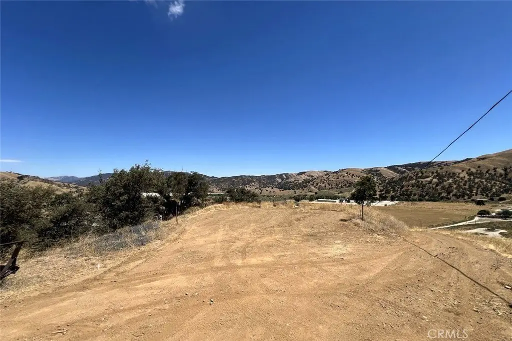 Picture 11