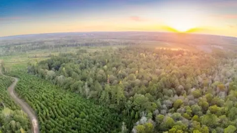 Secluded Wooded Land Near Reservoirs
