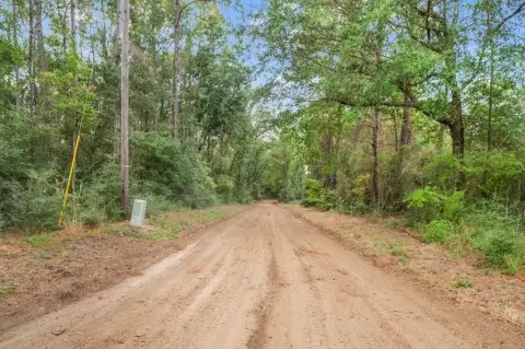 Secluded Woodland Near Toledo Bend