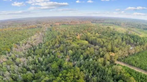 Secluded Land Near Toledo Bend