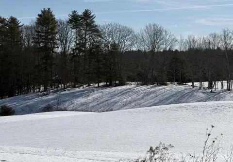 Saco Land with Open Space