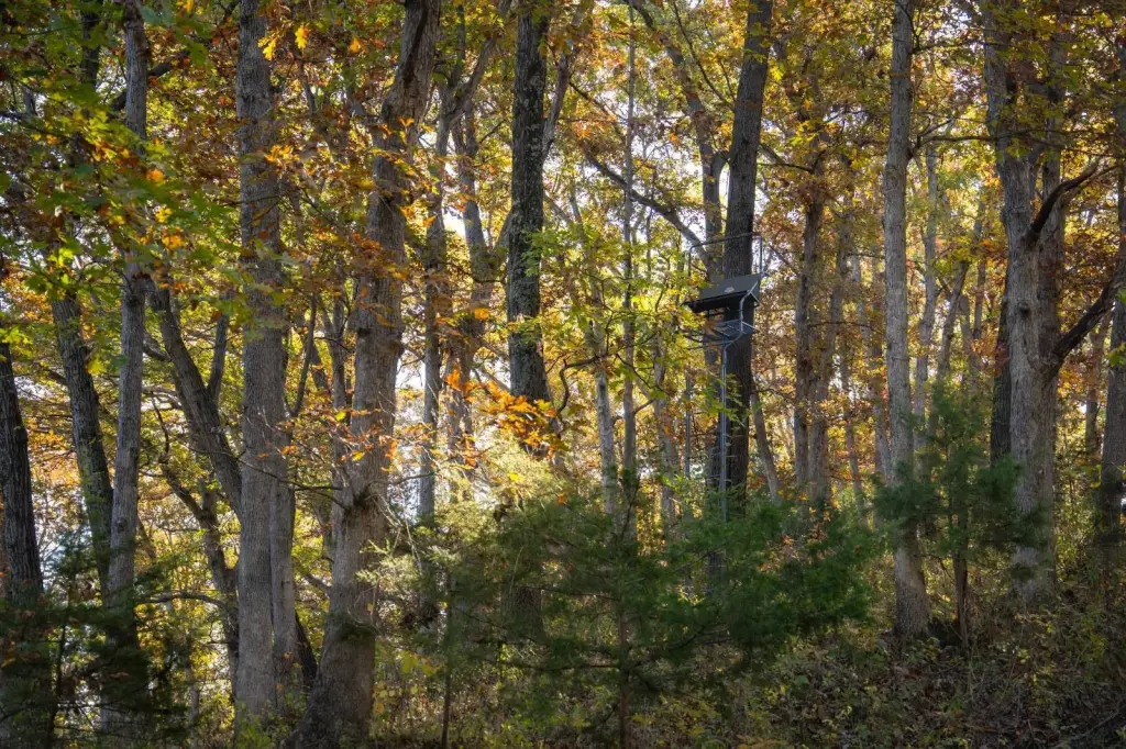Picture 46