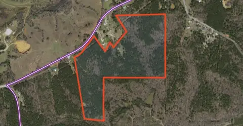 Ripley, MS Recreational Timber Tract