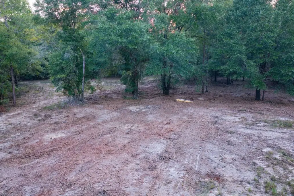 Picture 30