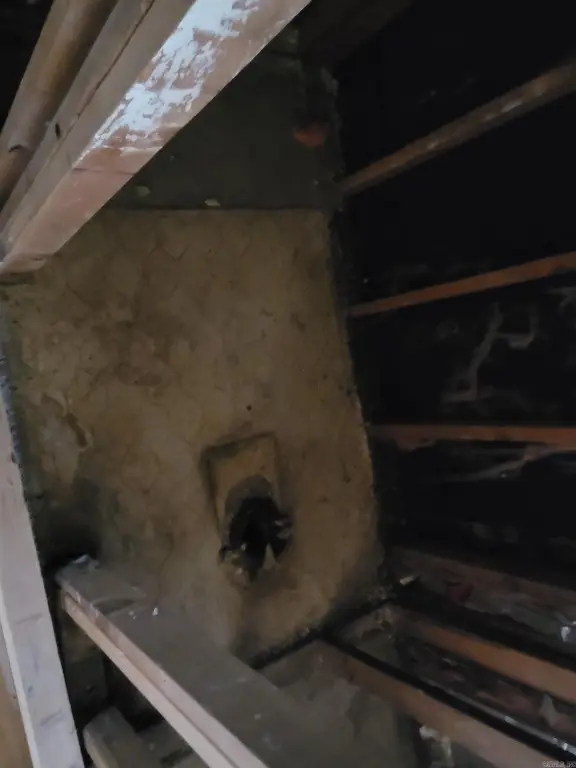 Picture 15
