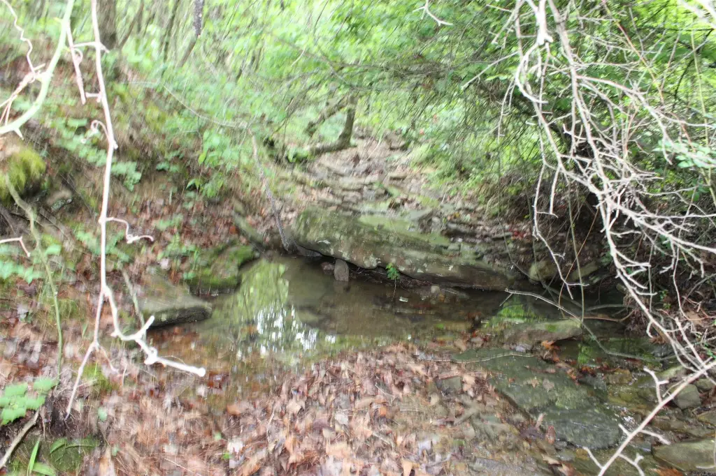 Picture 13