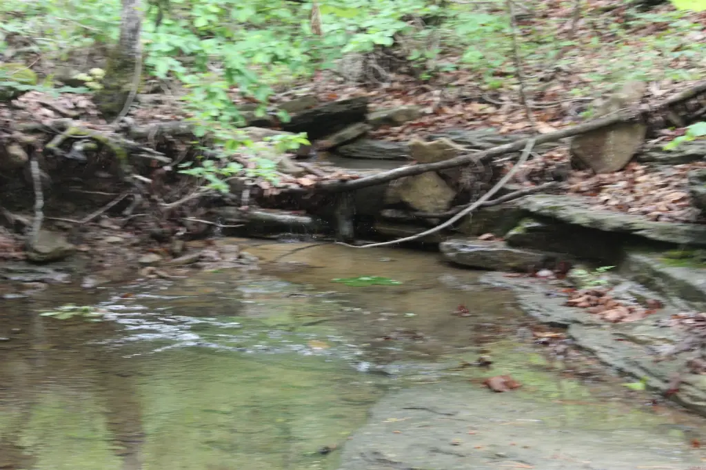 Picture 4