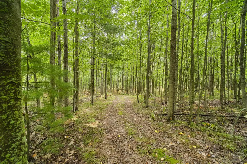 Picture 47