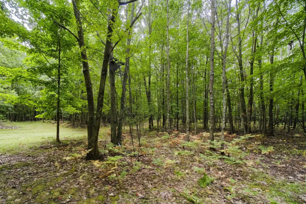 Picture 28