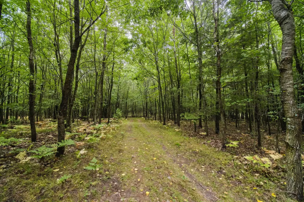 Picture 38