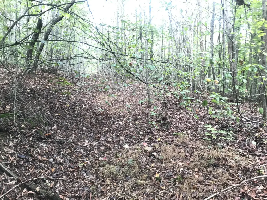 Picture 25