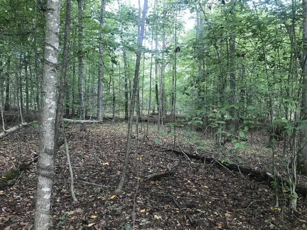 Picture 16