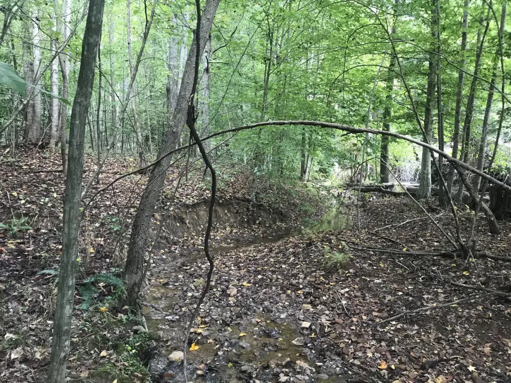 Picture 18