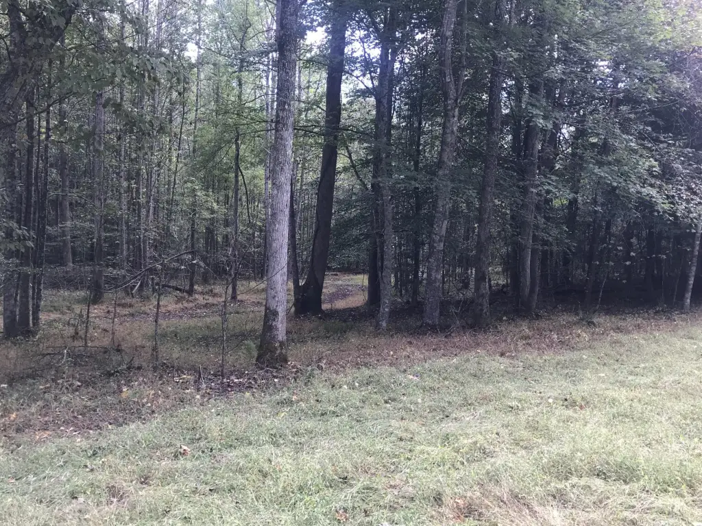 Picture 13