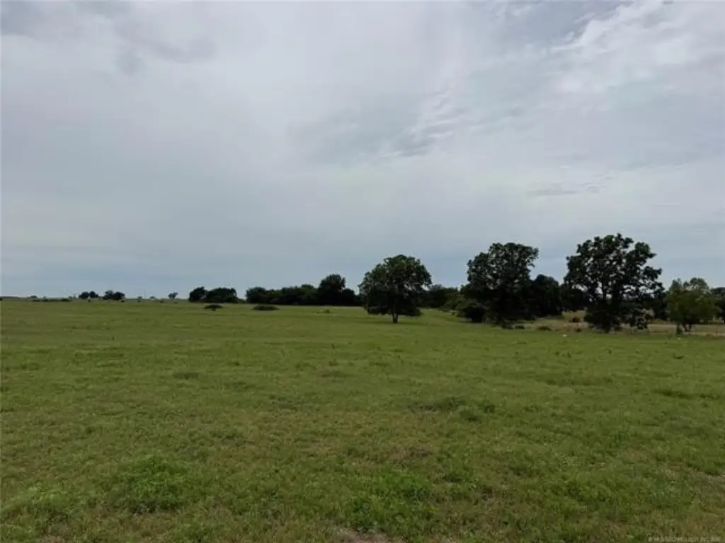Picture 20