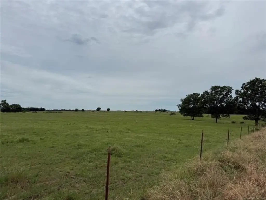Picture 19