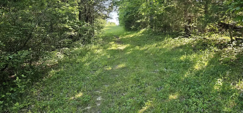 Picture 23