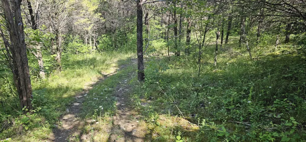 Picture 26