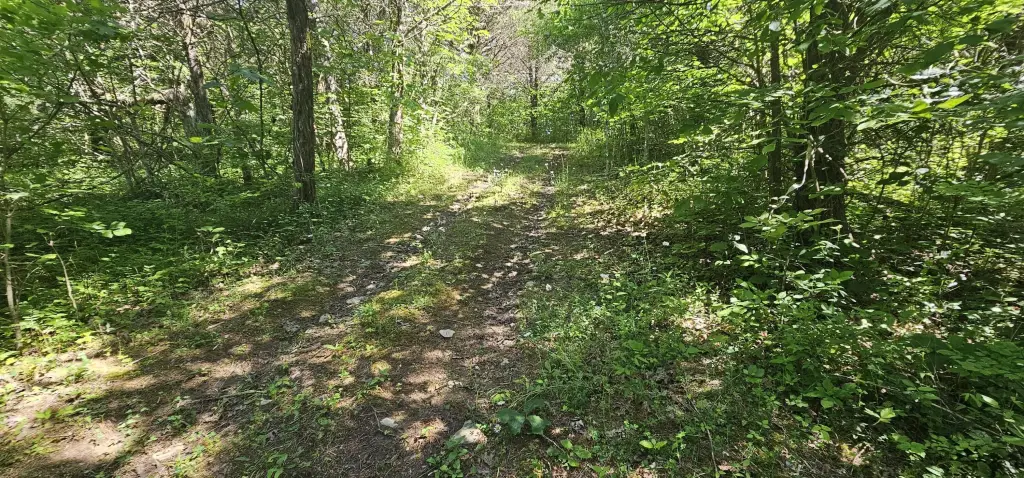 Picture 41