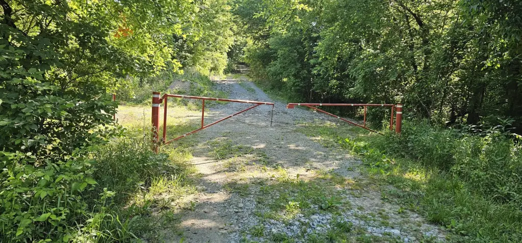 Picture 3