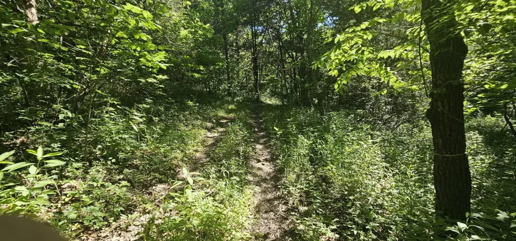 Picture 37